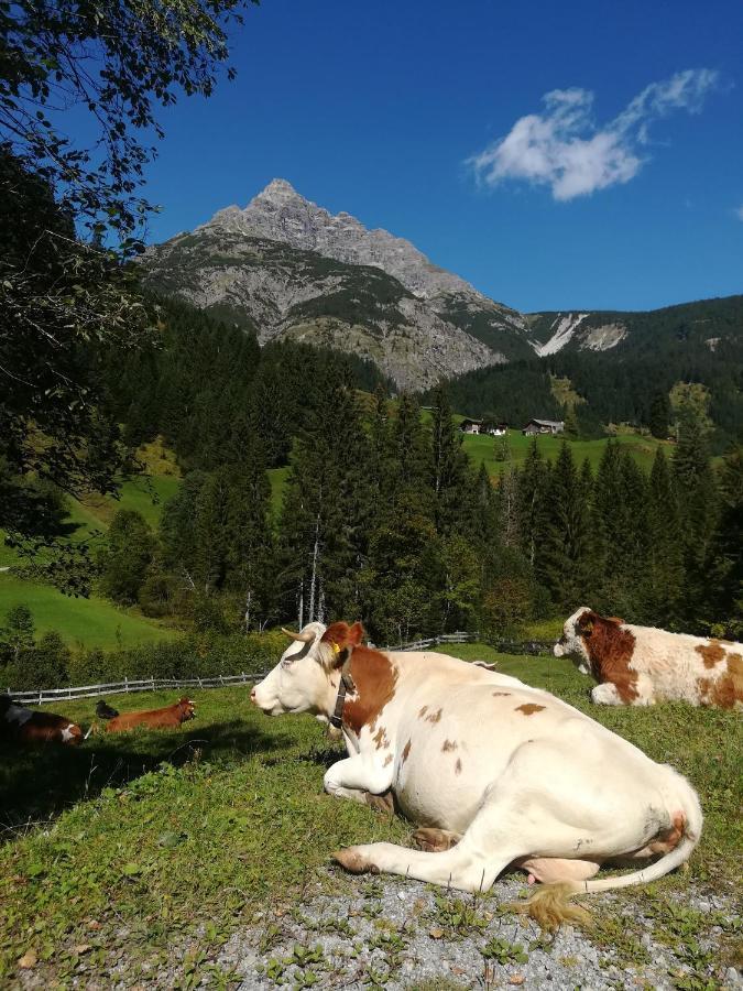 Apart-Alpin Stanzach Exterior photo
